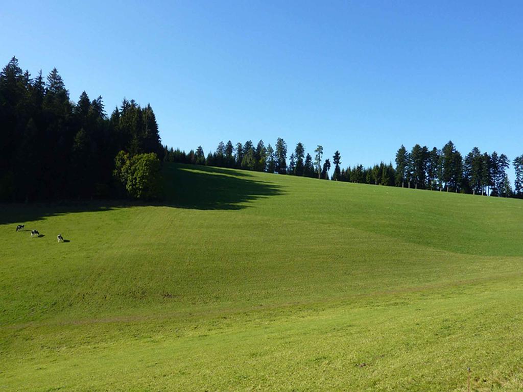 Apartmán Haus Harter Wolfach Exteriér fotografie