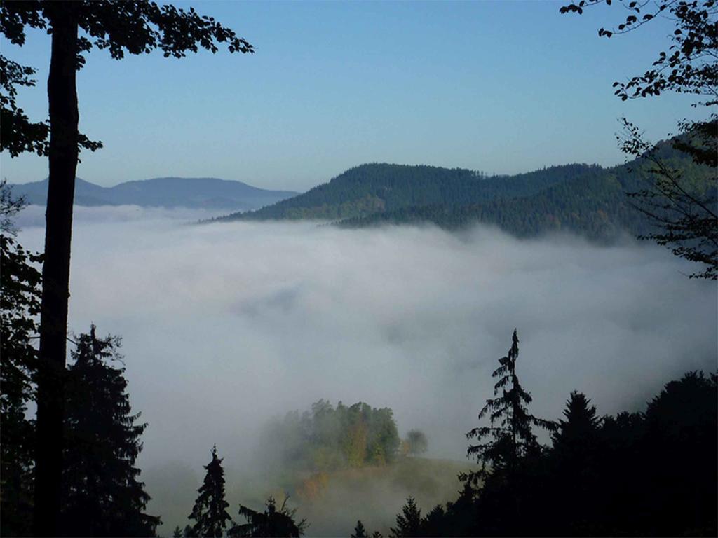 Apartmán Haus Harter Wolfach Exteriér fotografie